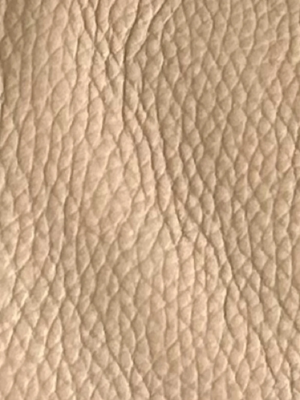 Cole Haan Beige Pebbled Leather Hobo Shoulder Bag Braided Handle Tote